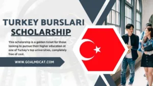 Read more about the article Turkey Burslari Scholarship (fully funded scholarships)